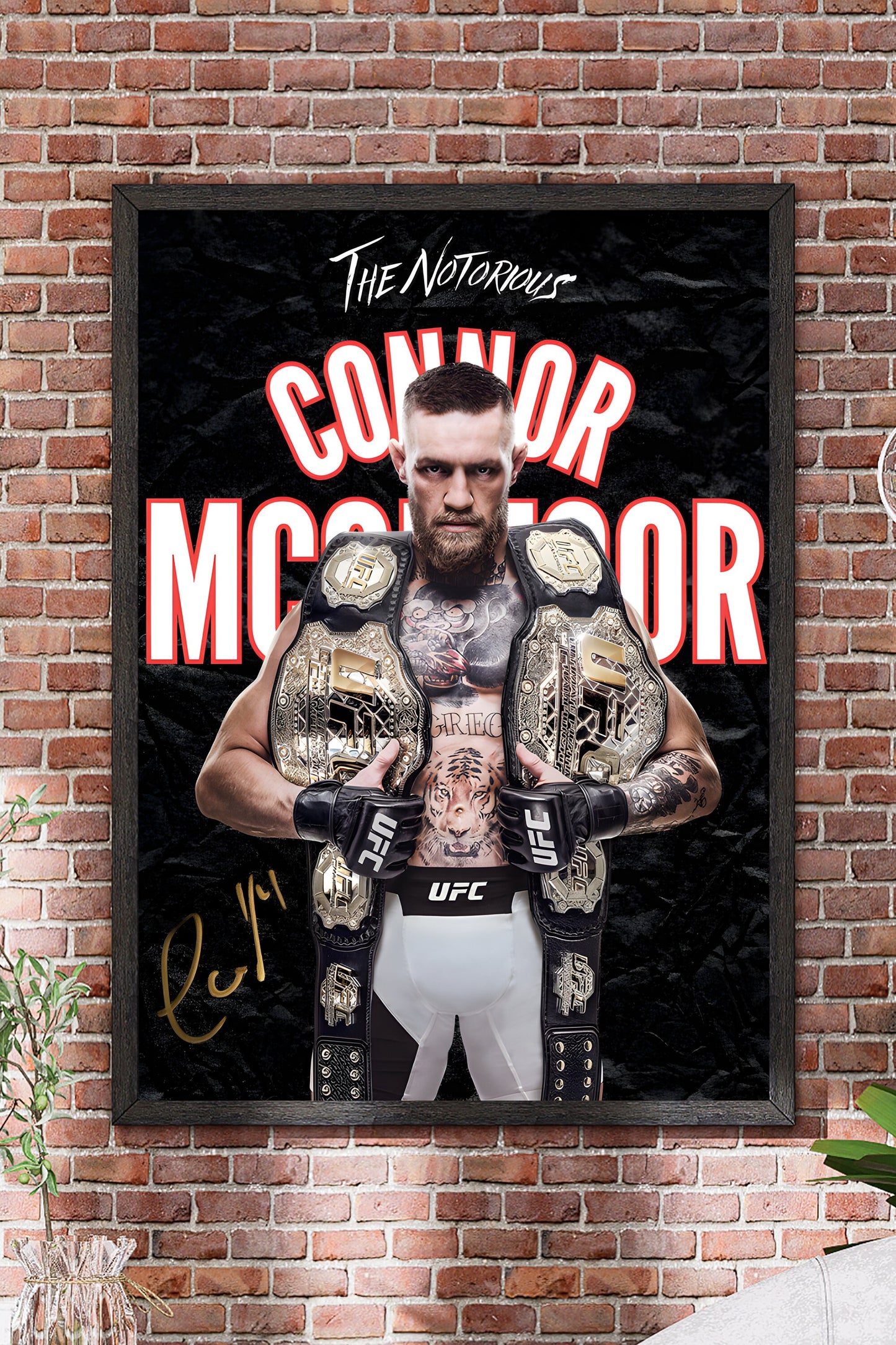 Poster Connor McGregor