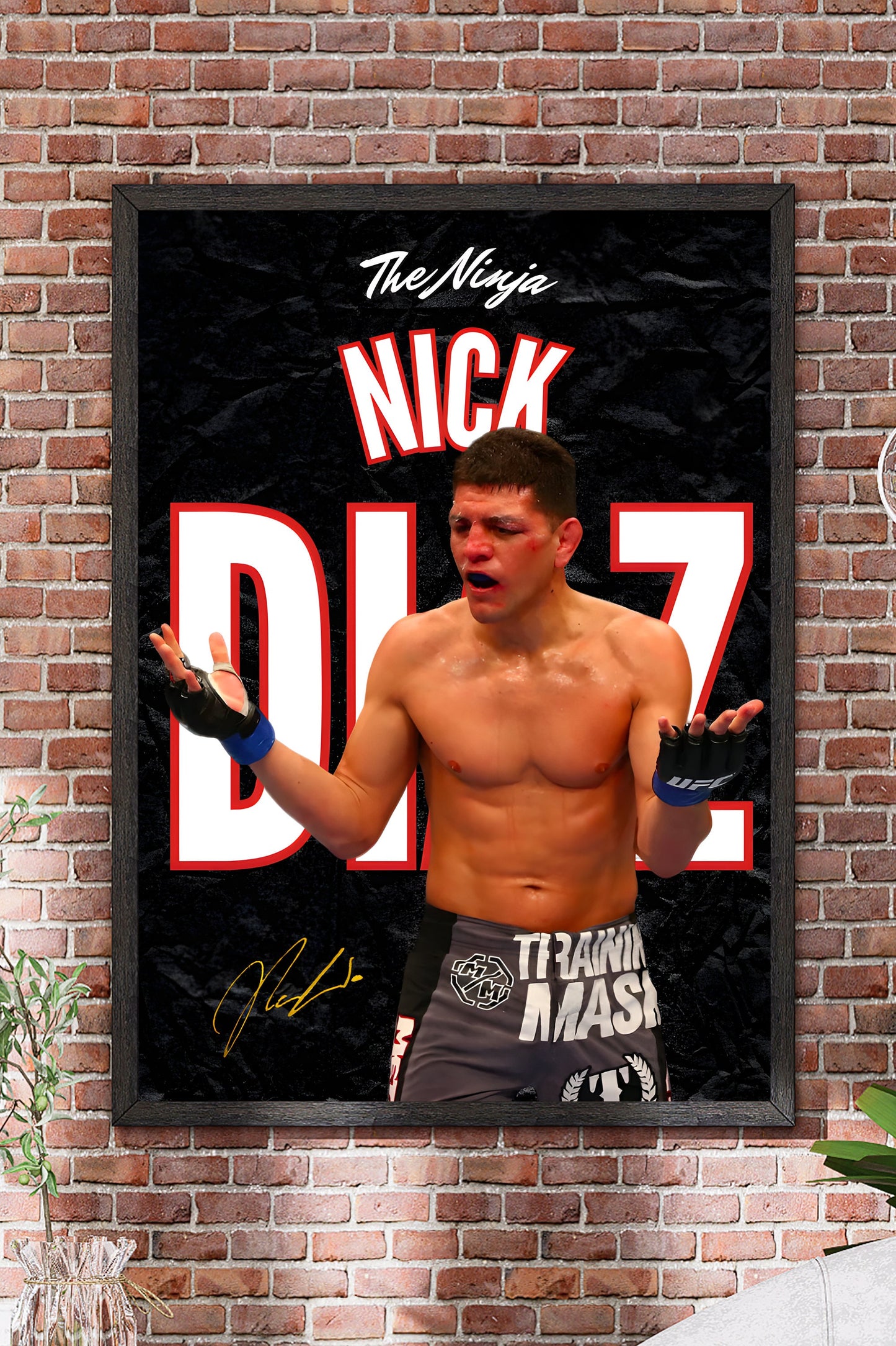Poster Nick Diaz