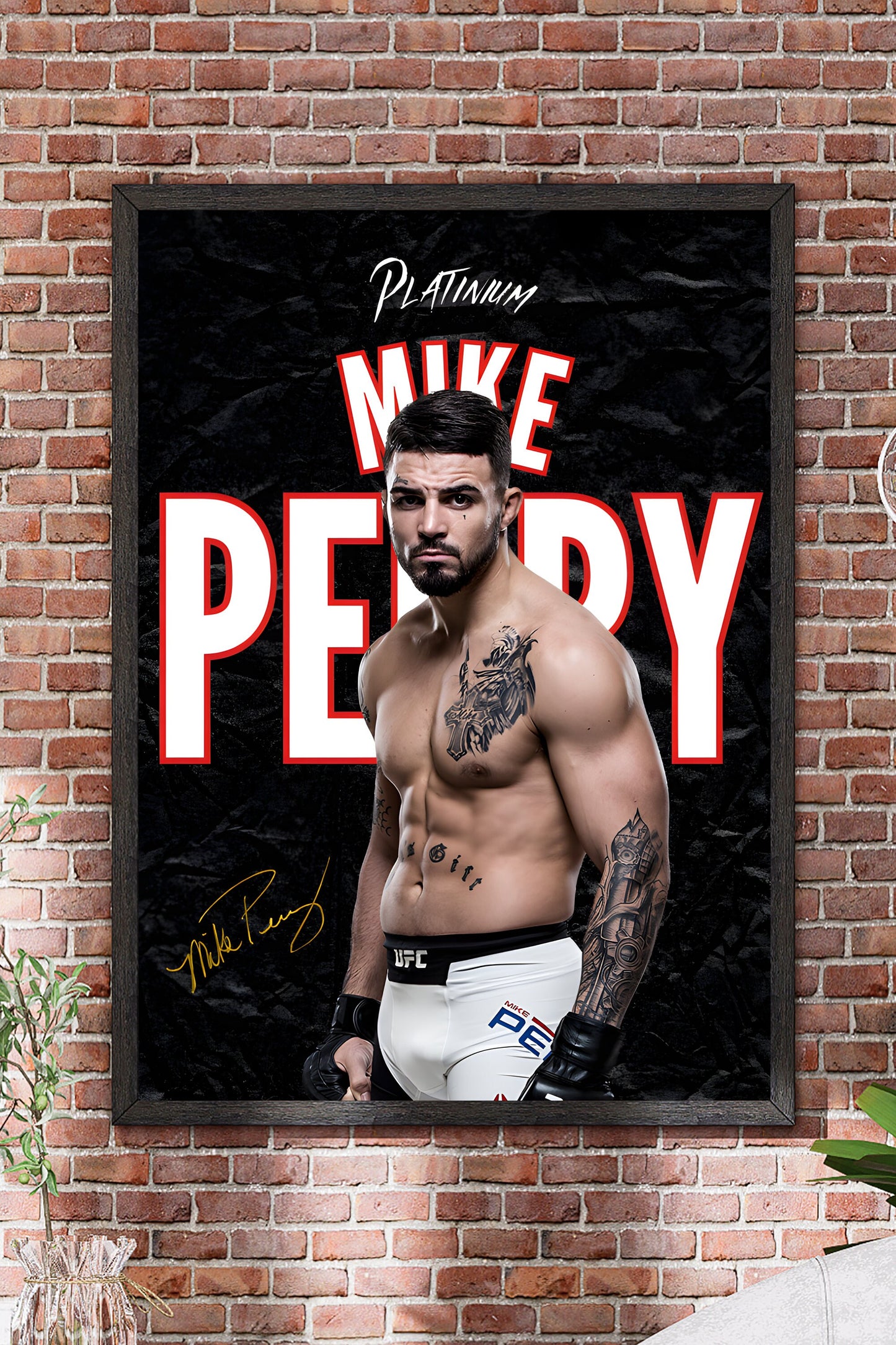 Poster Mike Perry