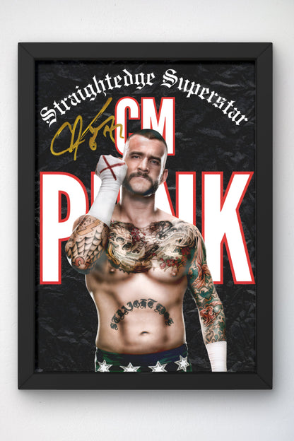 Poster CM Punk