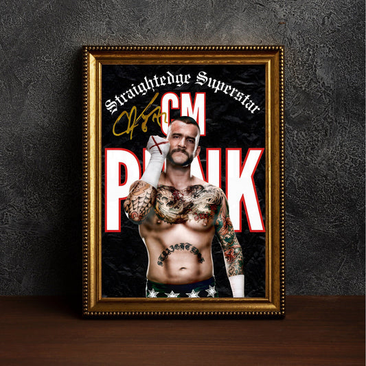 Poster CM Punk