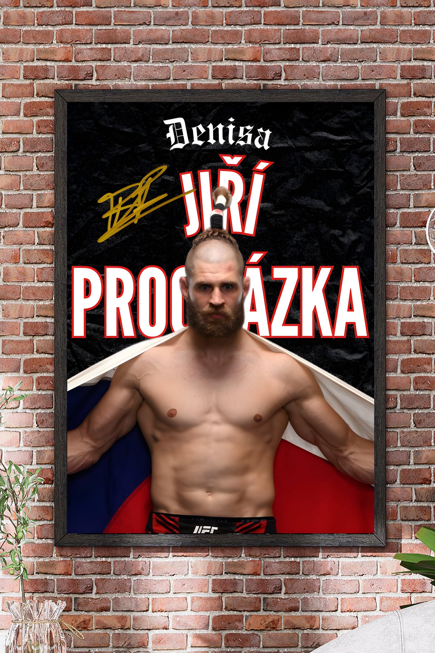 Poster Jiri Prochazka