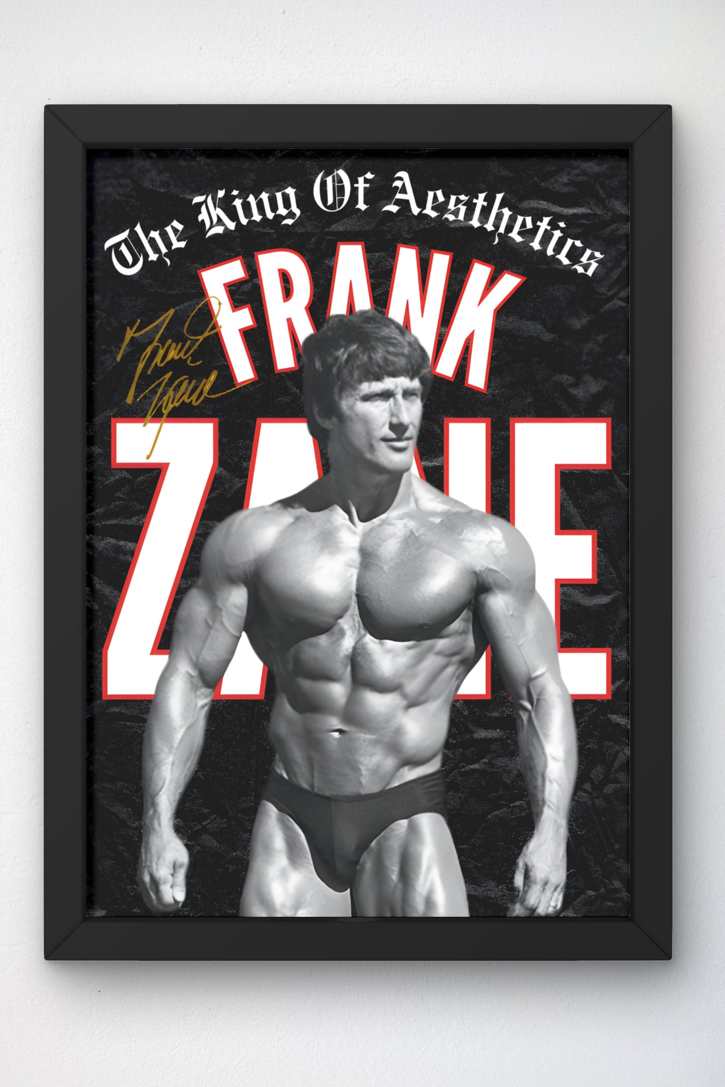 Poster Frank Zane